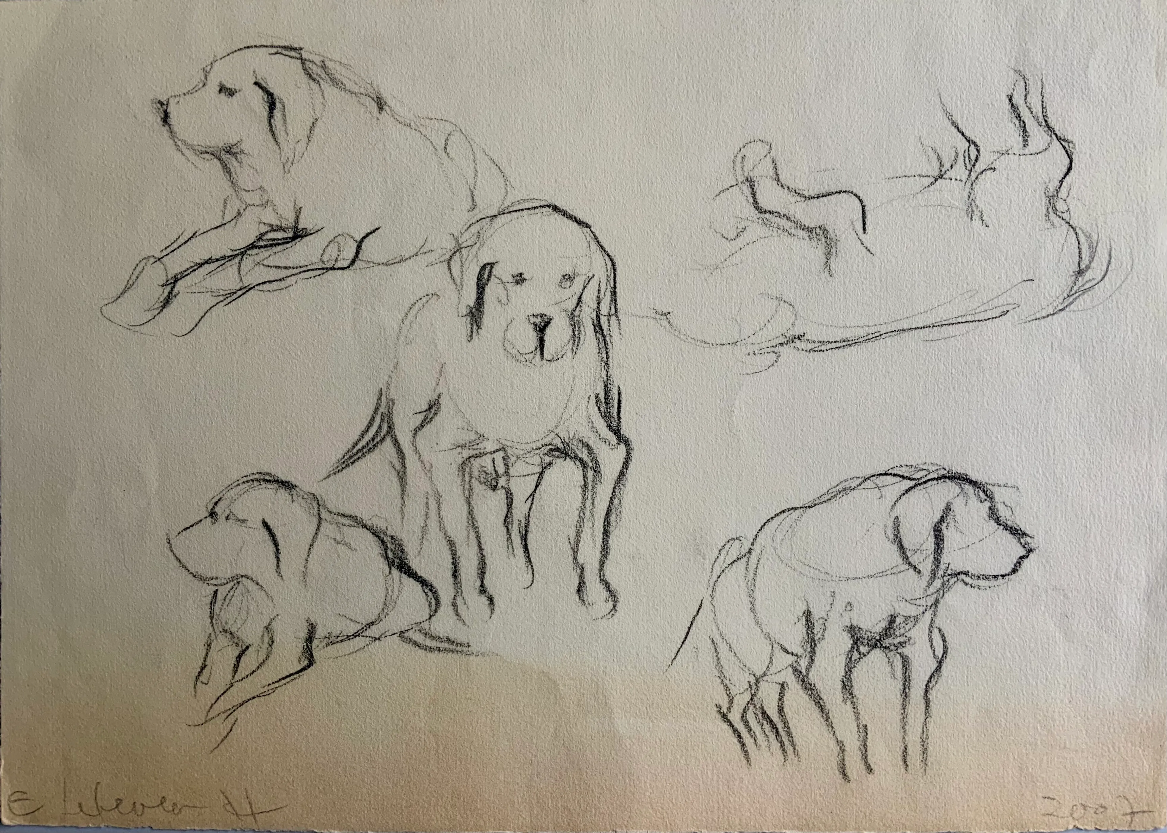Obra "Apuntes de perrito viejo II" de Eva Lefever