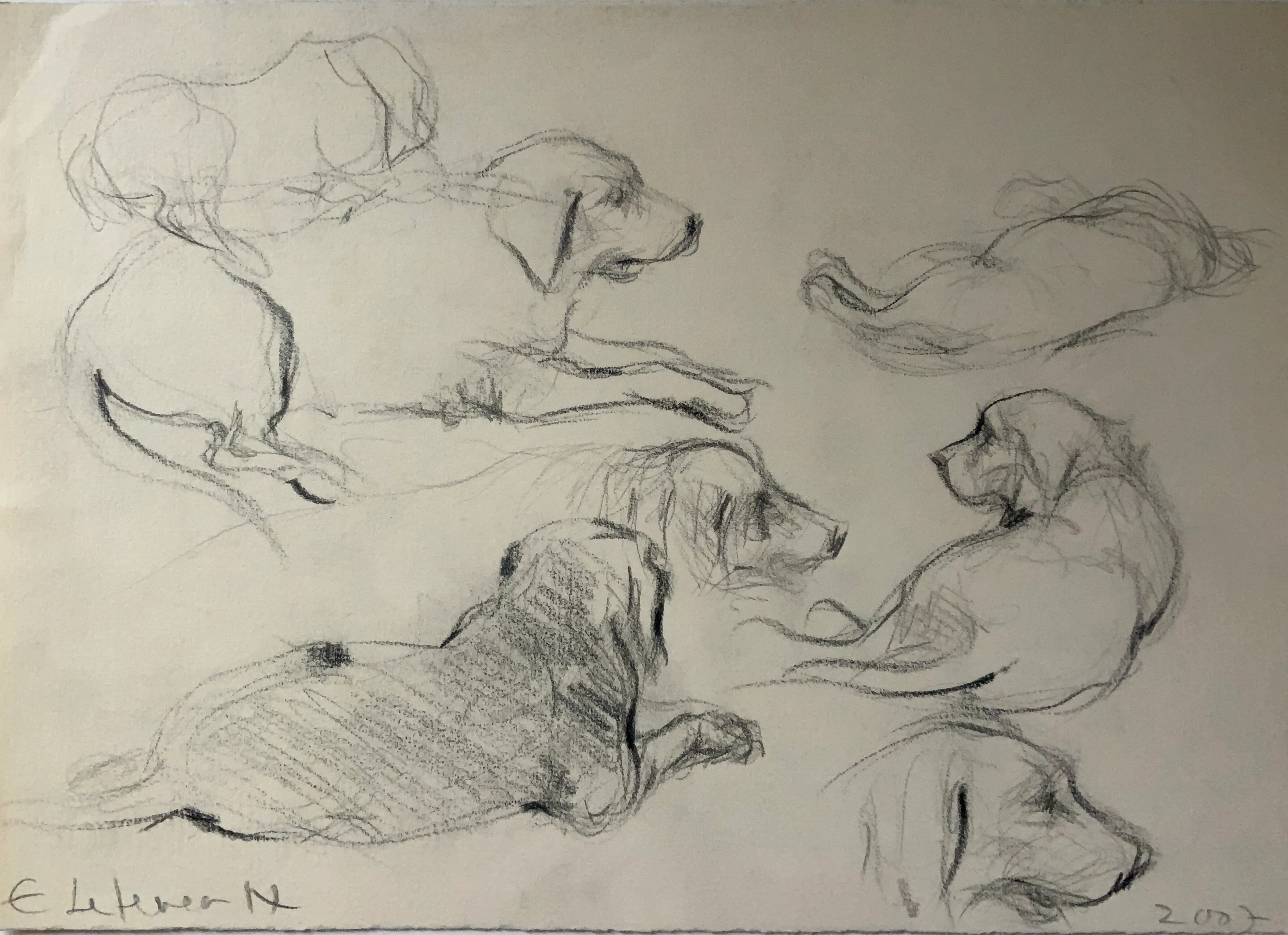 Obra "Apuntes de perrito viejo III" de Eva Lefever