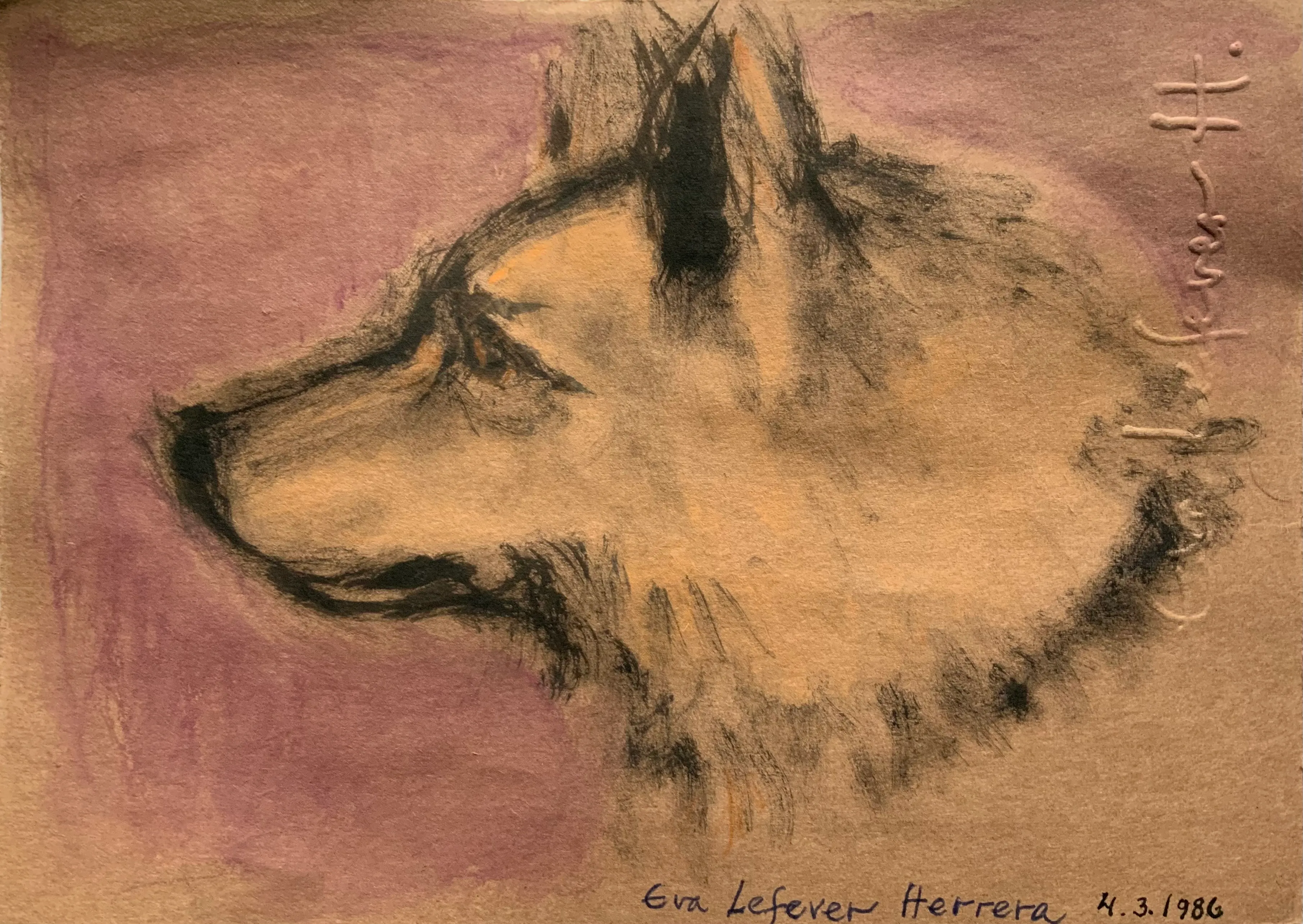 Obra "Cabeza canina" de Eva Lefever