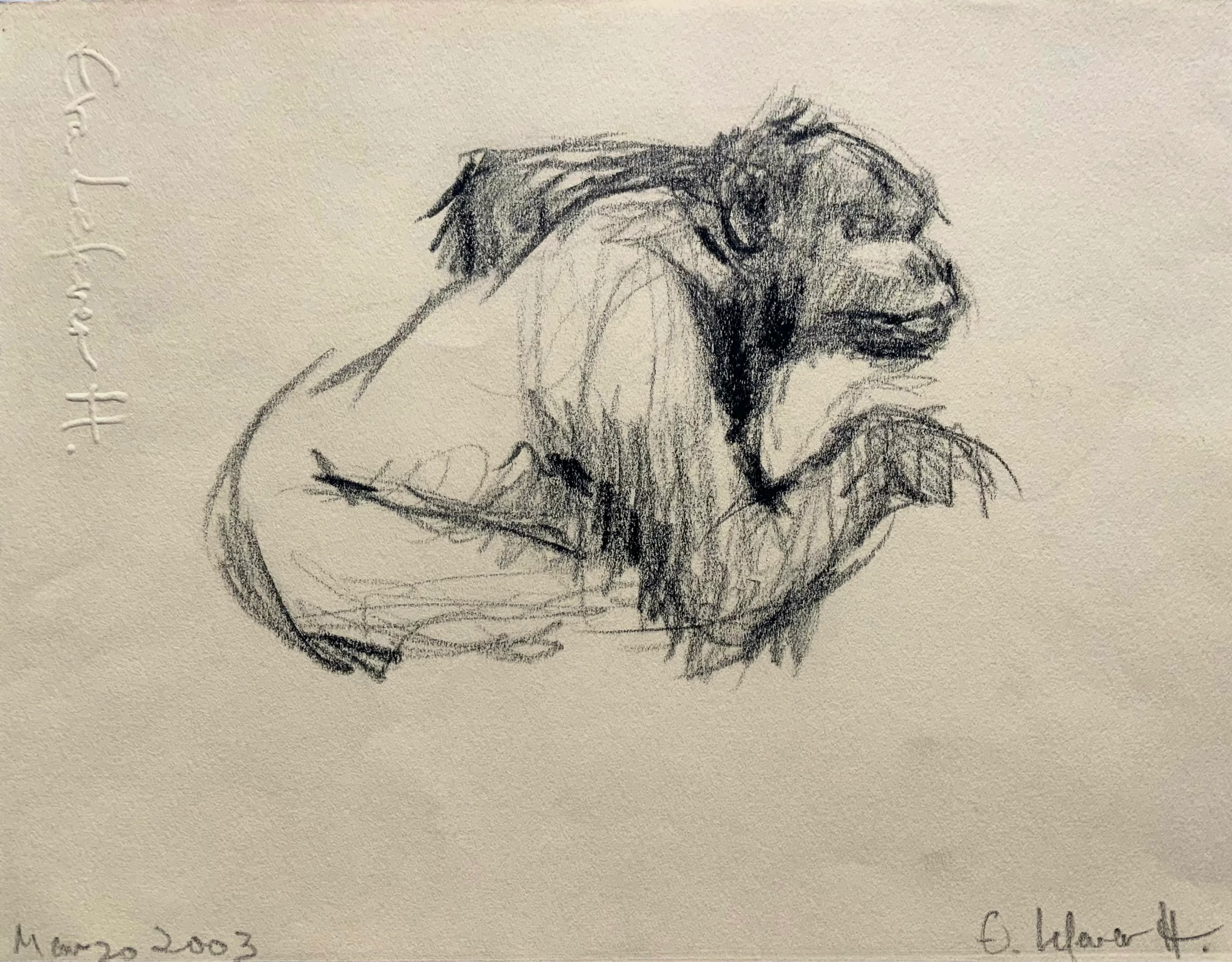 Obra "Chimpancé IV" de Eva Lefever