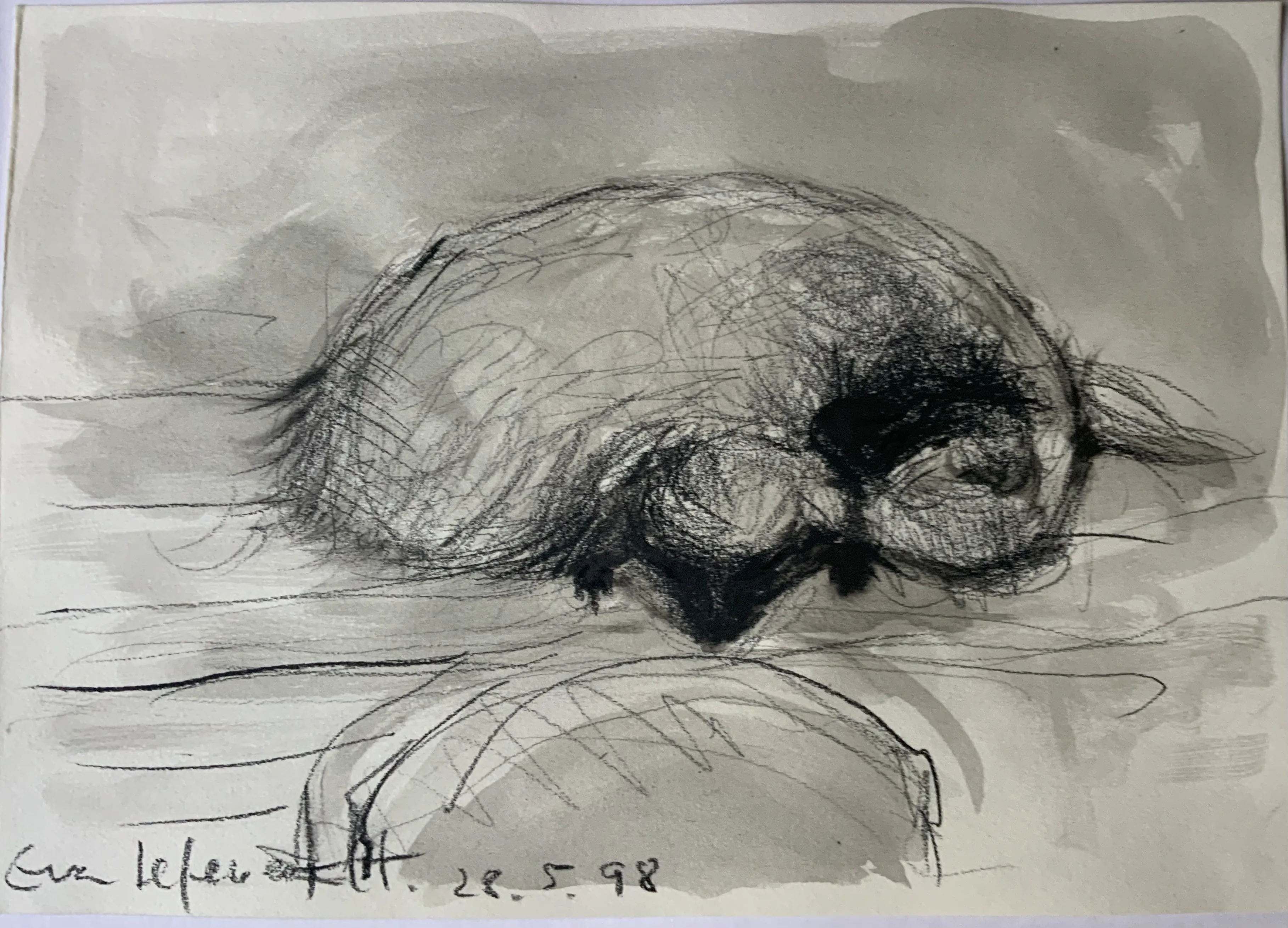 Obra "Coipos durmiendo" de Eva Lefever