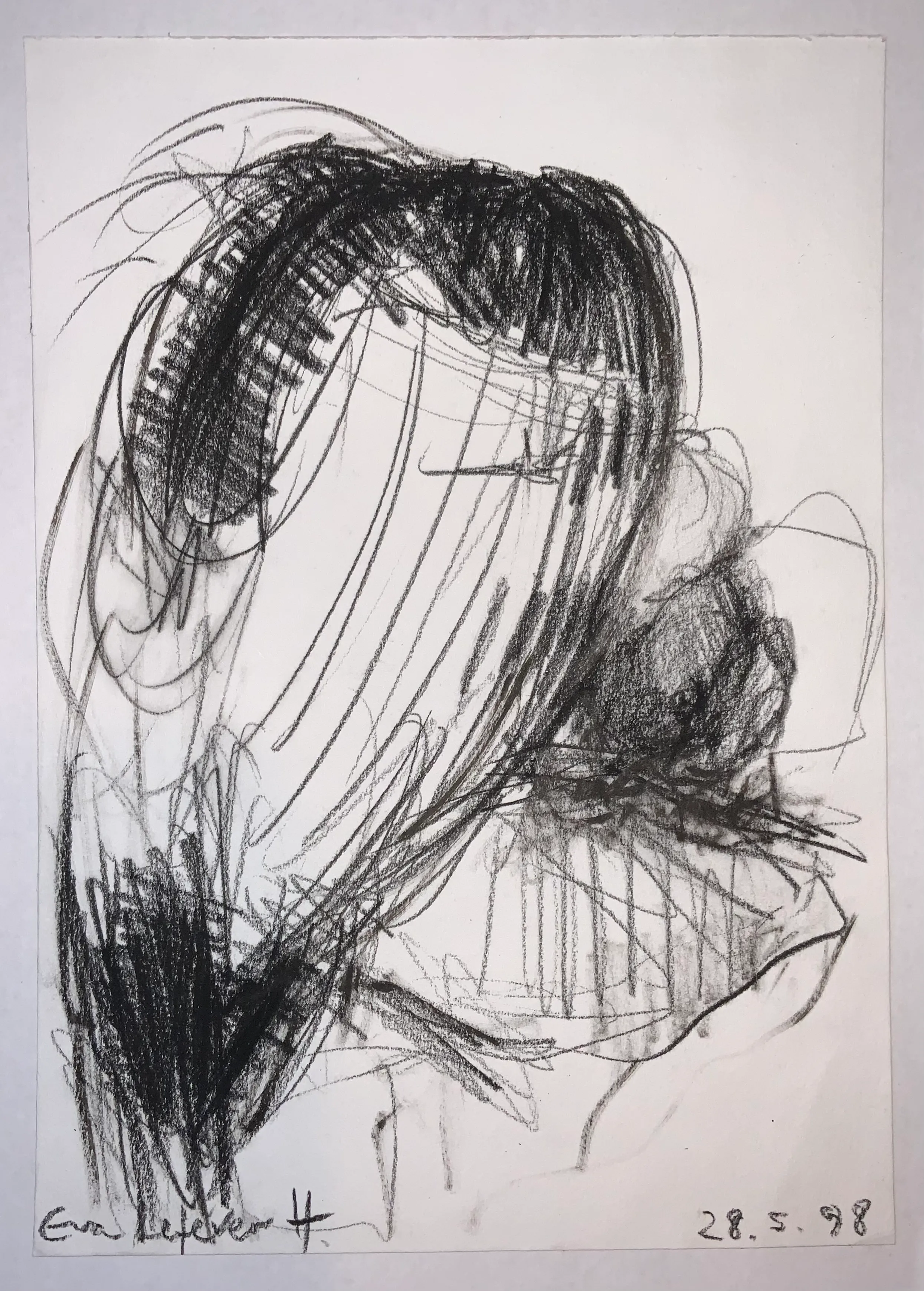 Obra "Cóndor IV" de Eva Lefever
