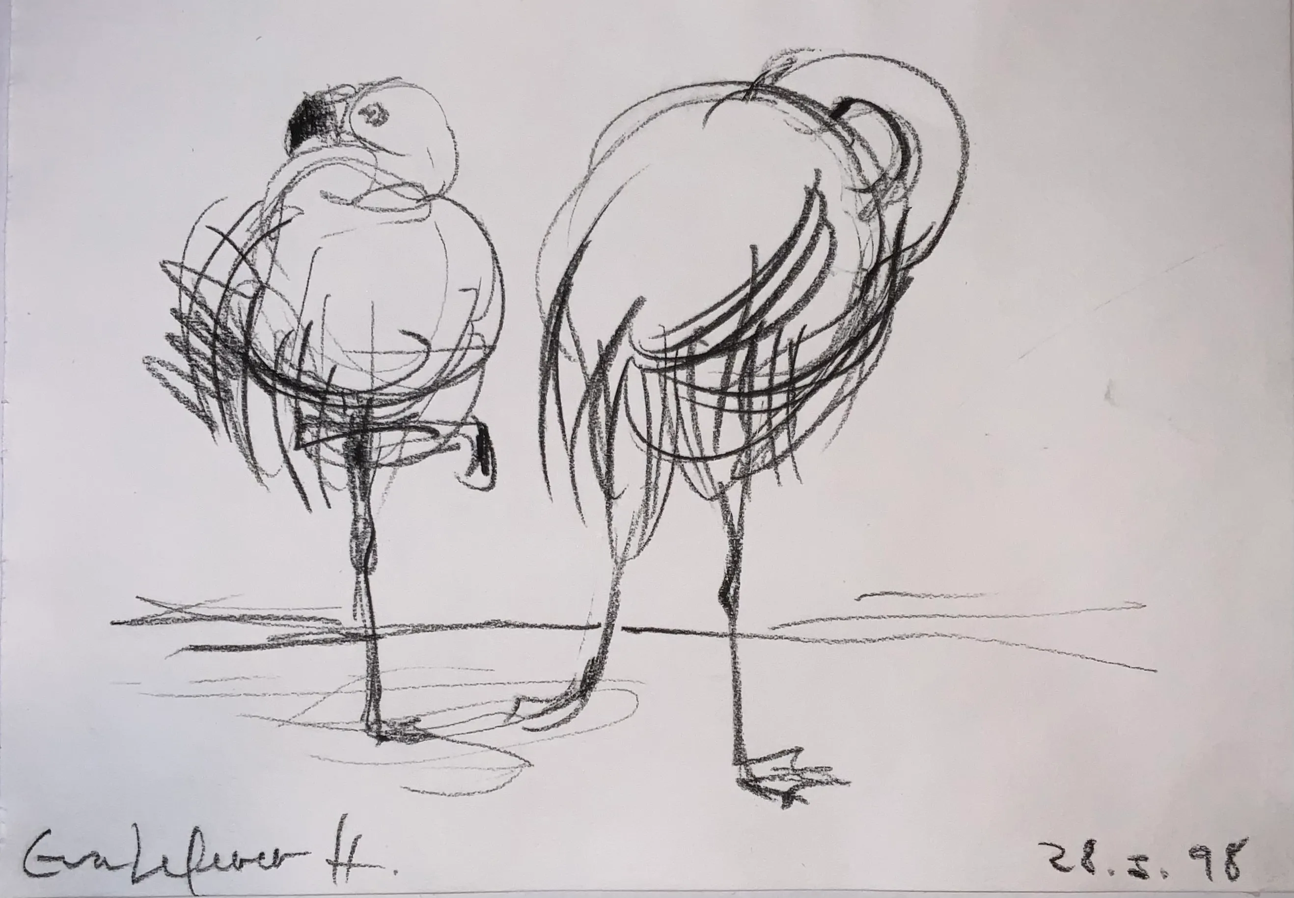 Obra "Estudio de flamencos" de Eva Lefever