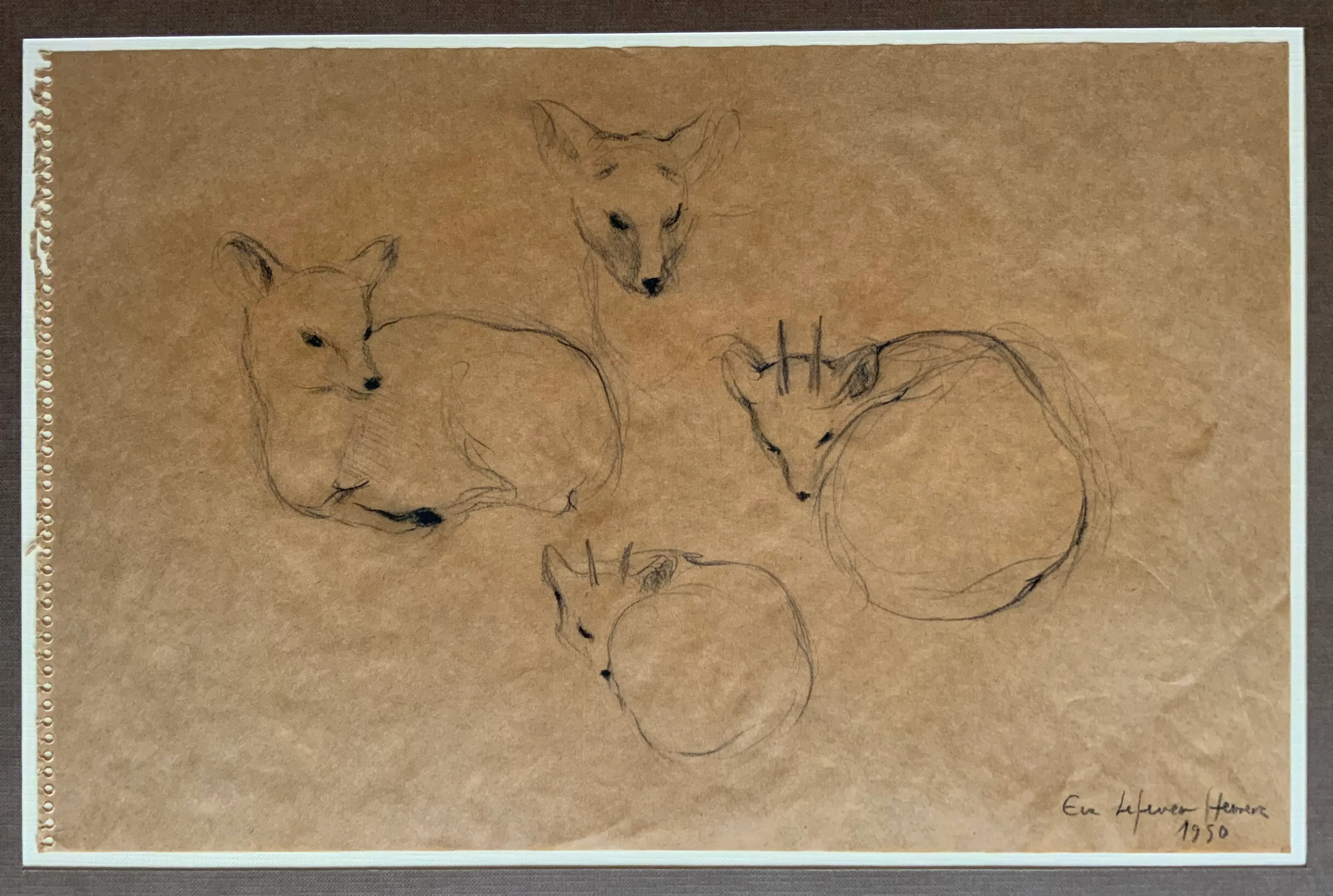 Obra "Estudio de pudú" de Eva Lefever