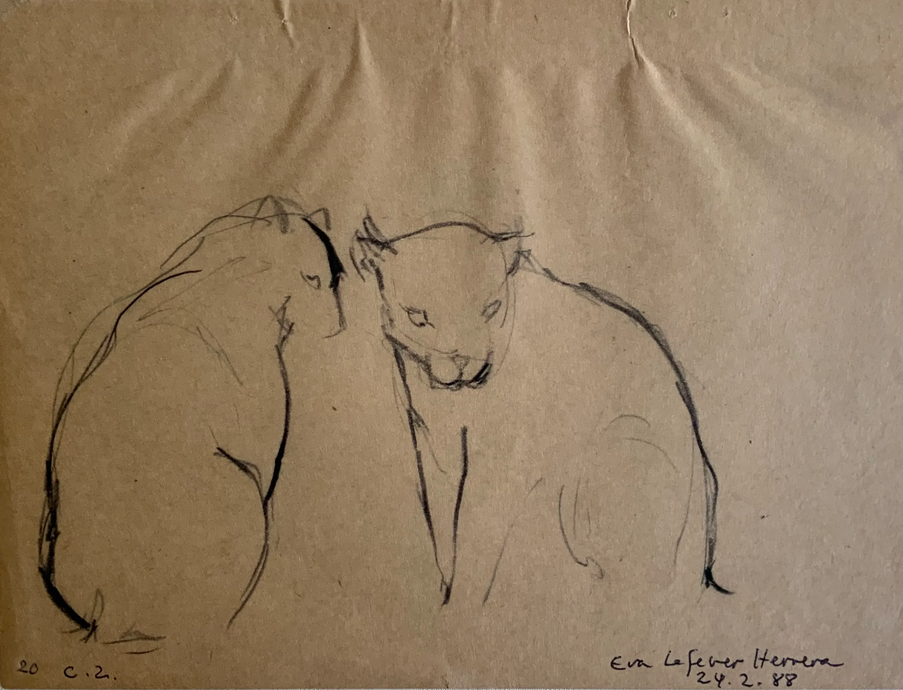 Obra "Estudio de pumas II" de Eva Lefever