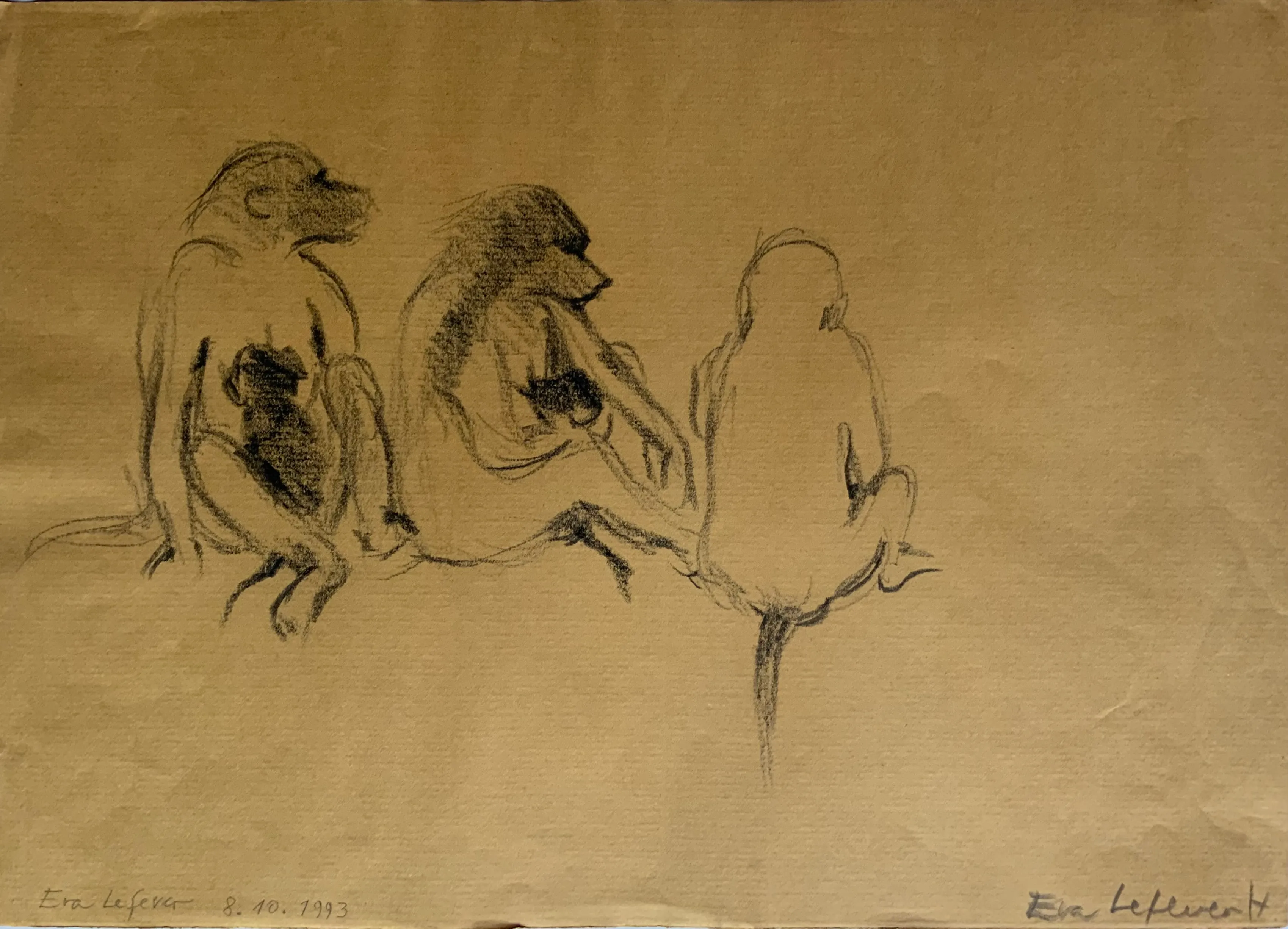 Obra "Familia de mandriles II" de Eva Lefever