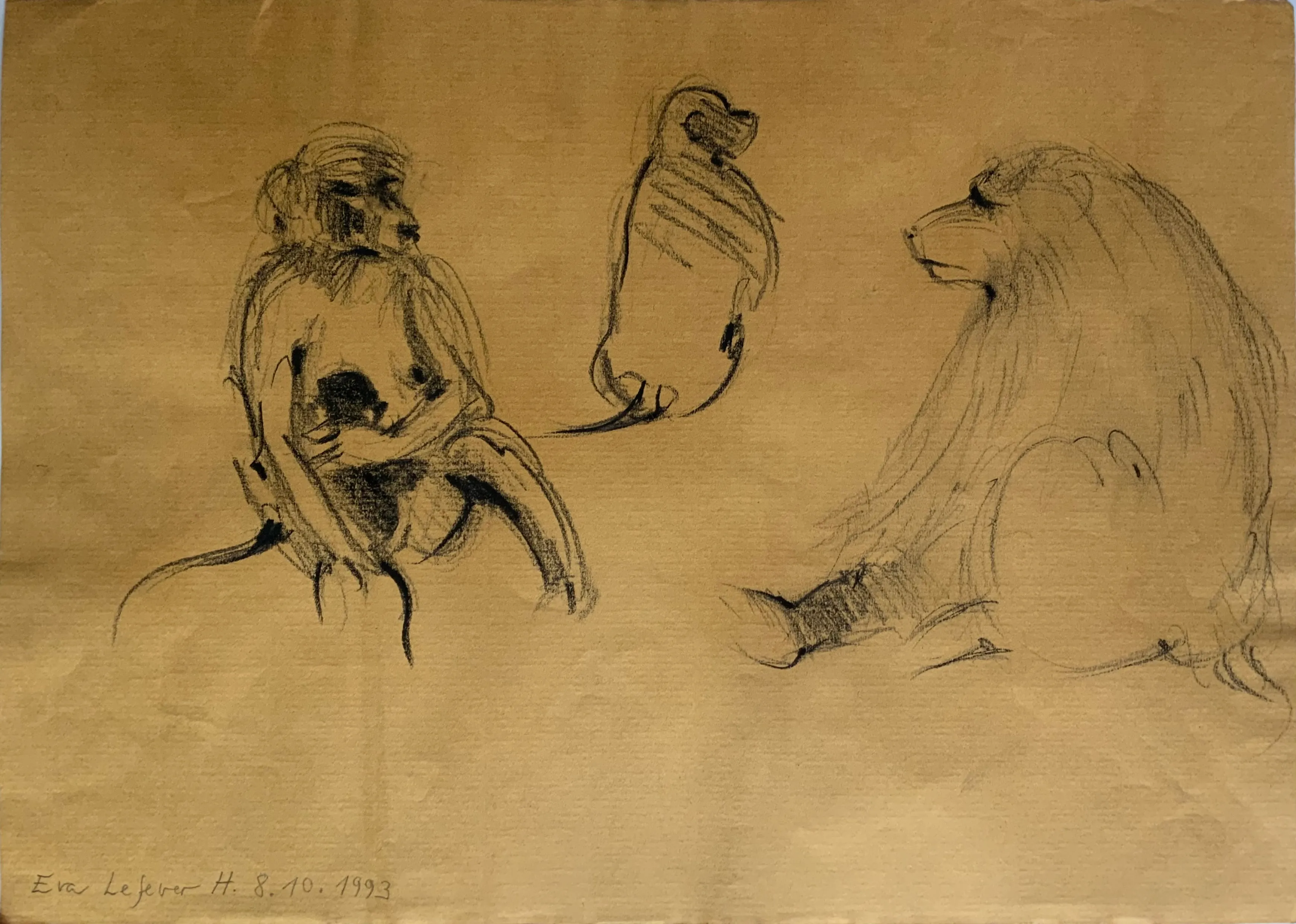 Obra "Familia de mandriles IV" de Eva Lefever