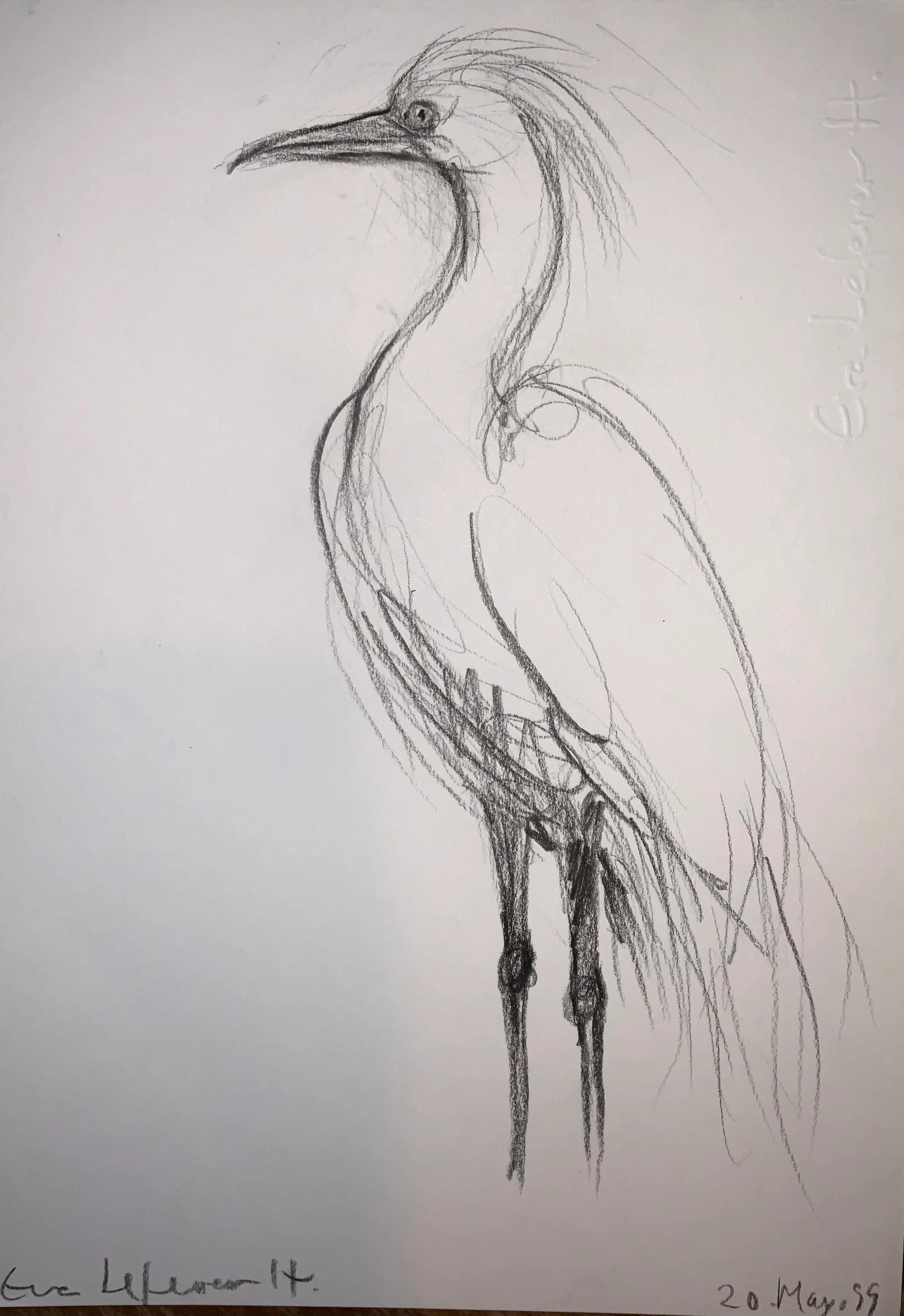 Obra "Garza" de Eva Lefever