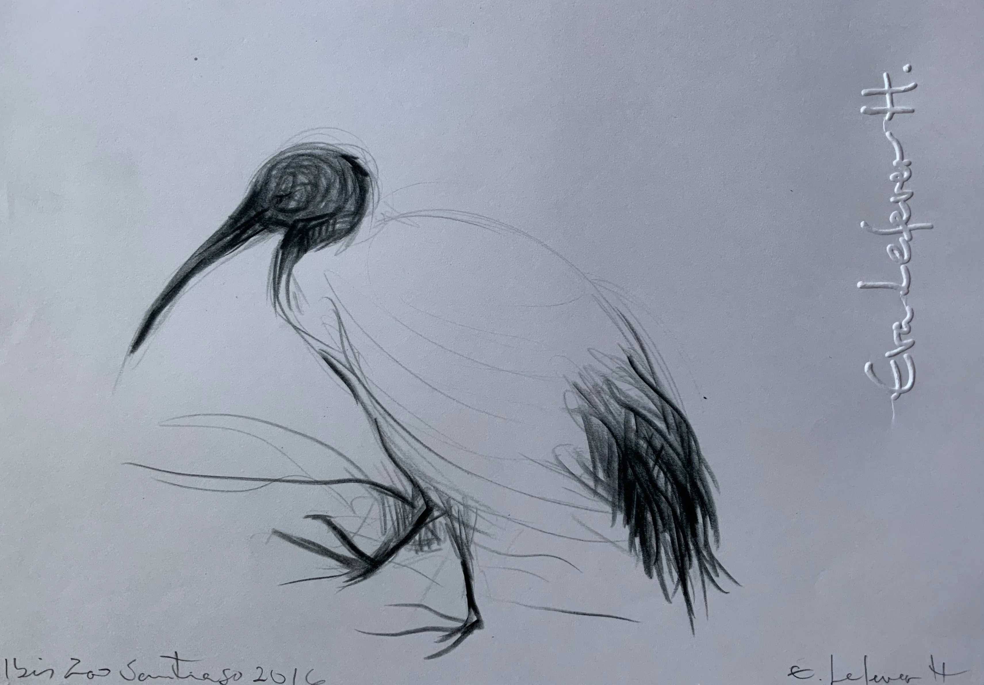 Obra "Ibis II" de Eva Lefever