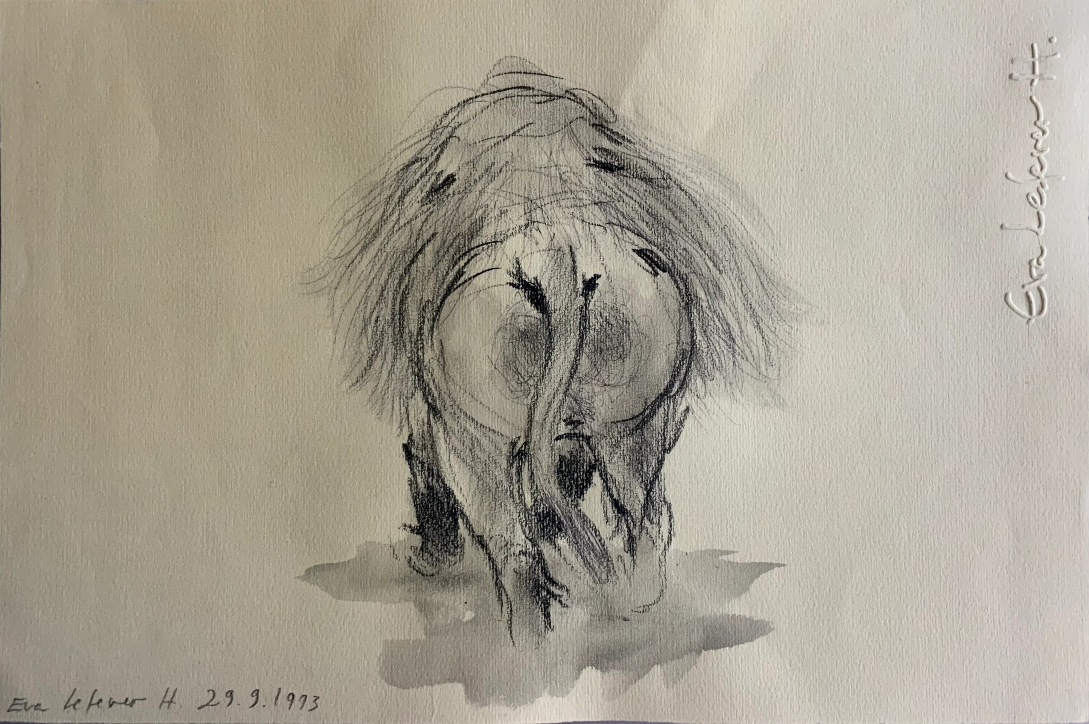 Obra "Mandril I" de Eva Lefever