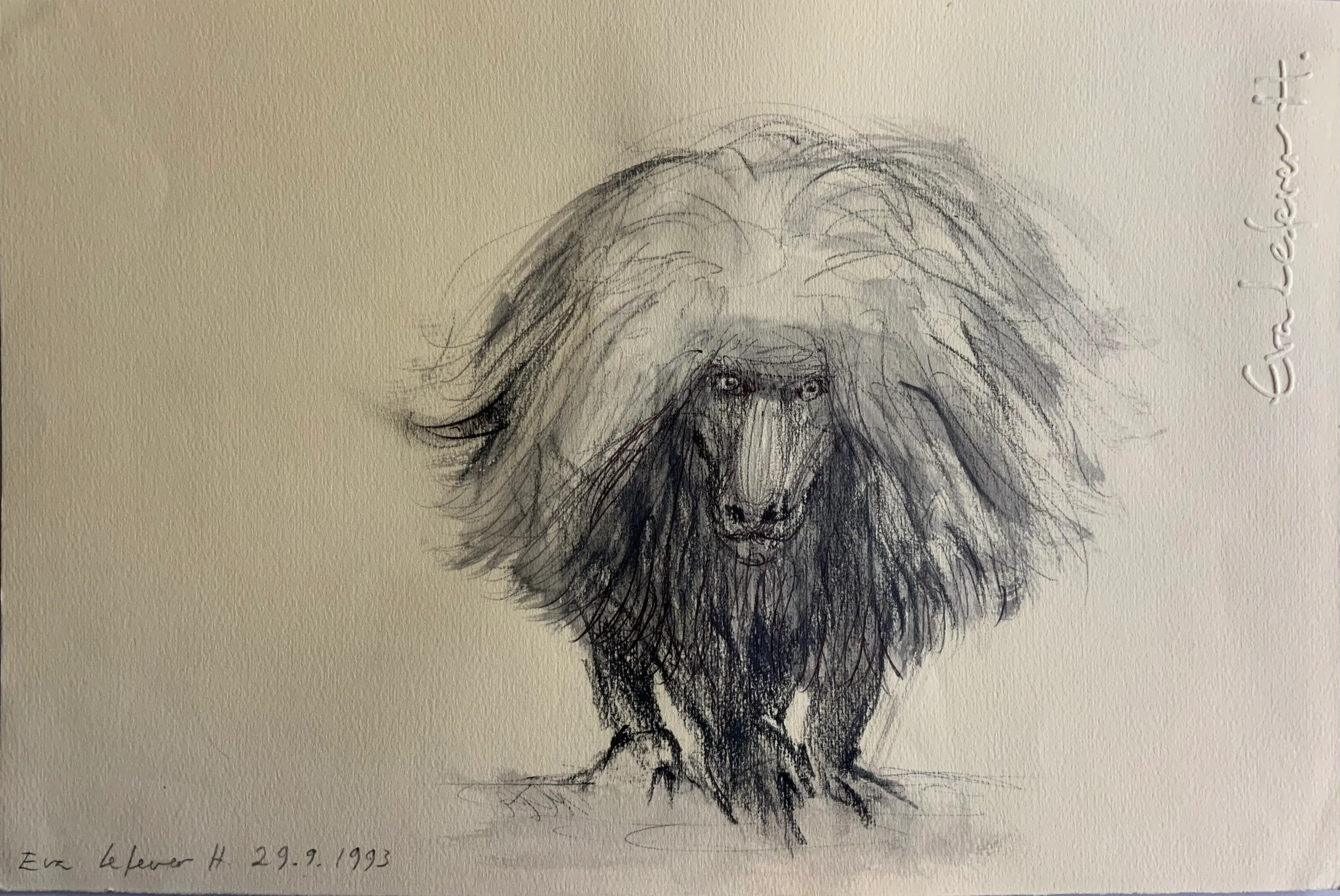Obra "Mandril II" de Eva Lefever