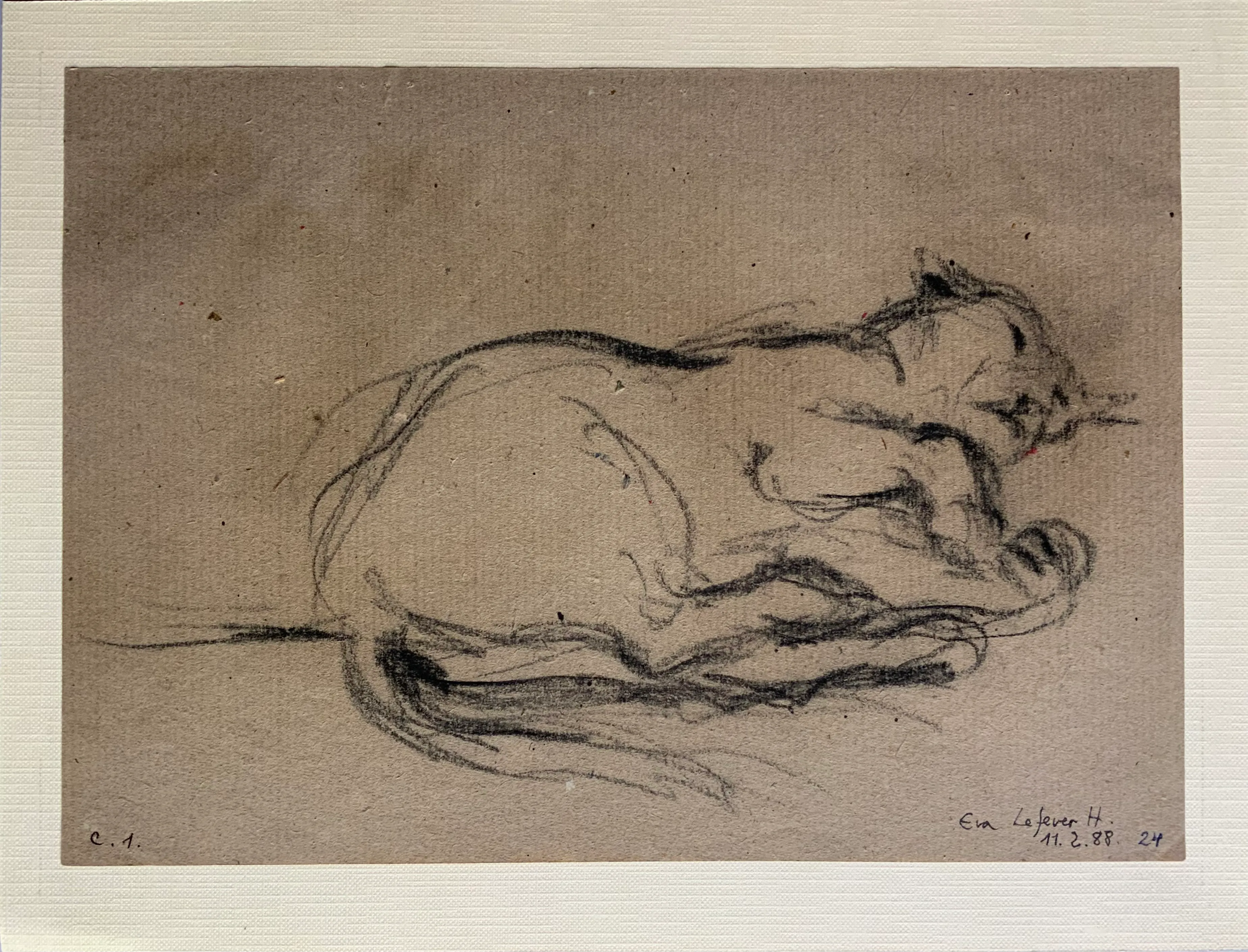 Obra "Puma viejo durmiendo" de Eva Lefever