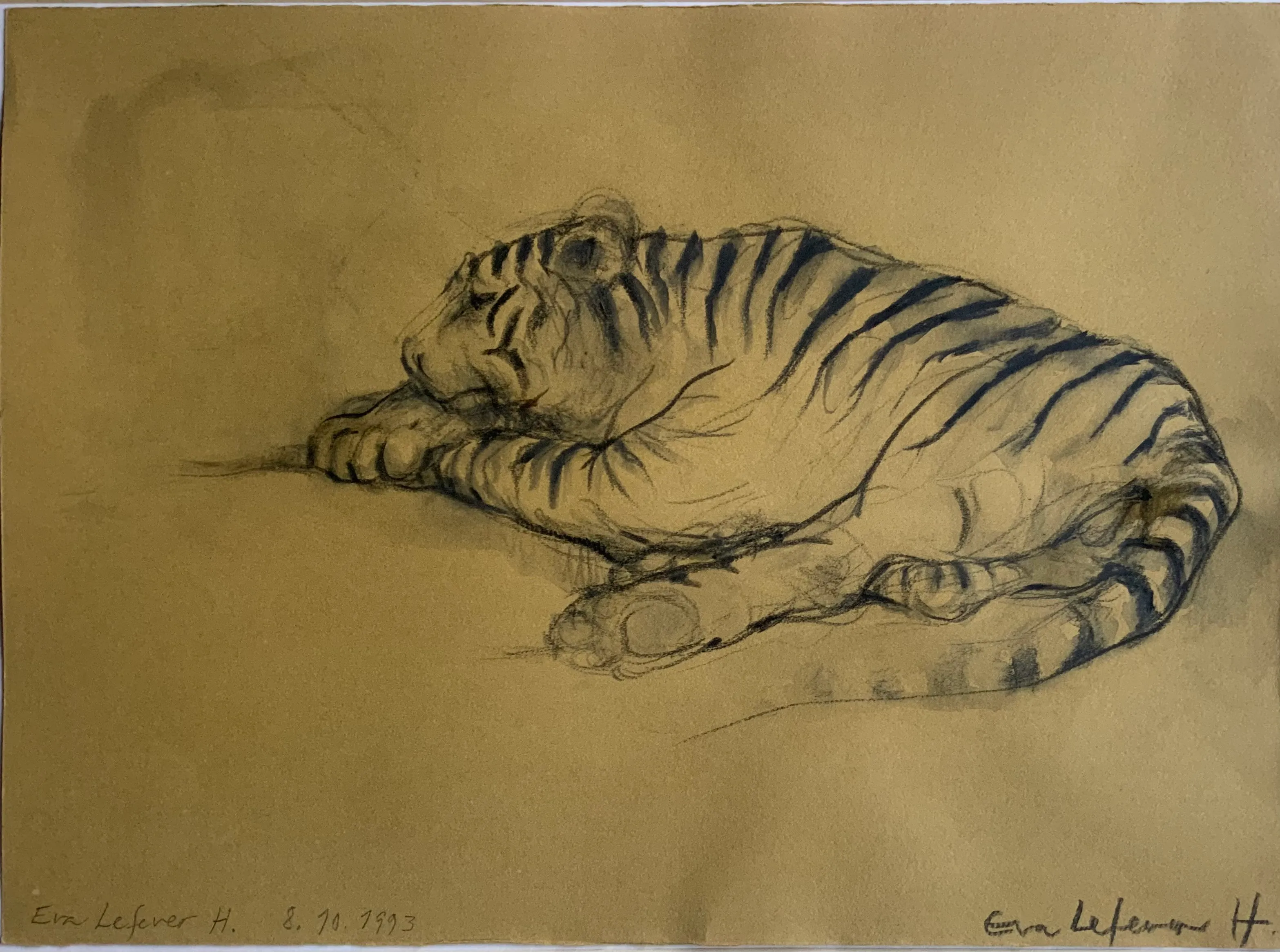 Obra "Tigre durmiendo" de Eva Lefever