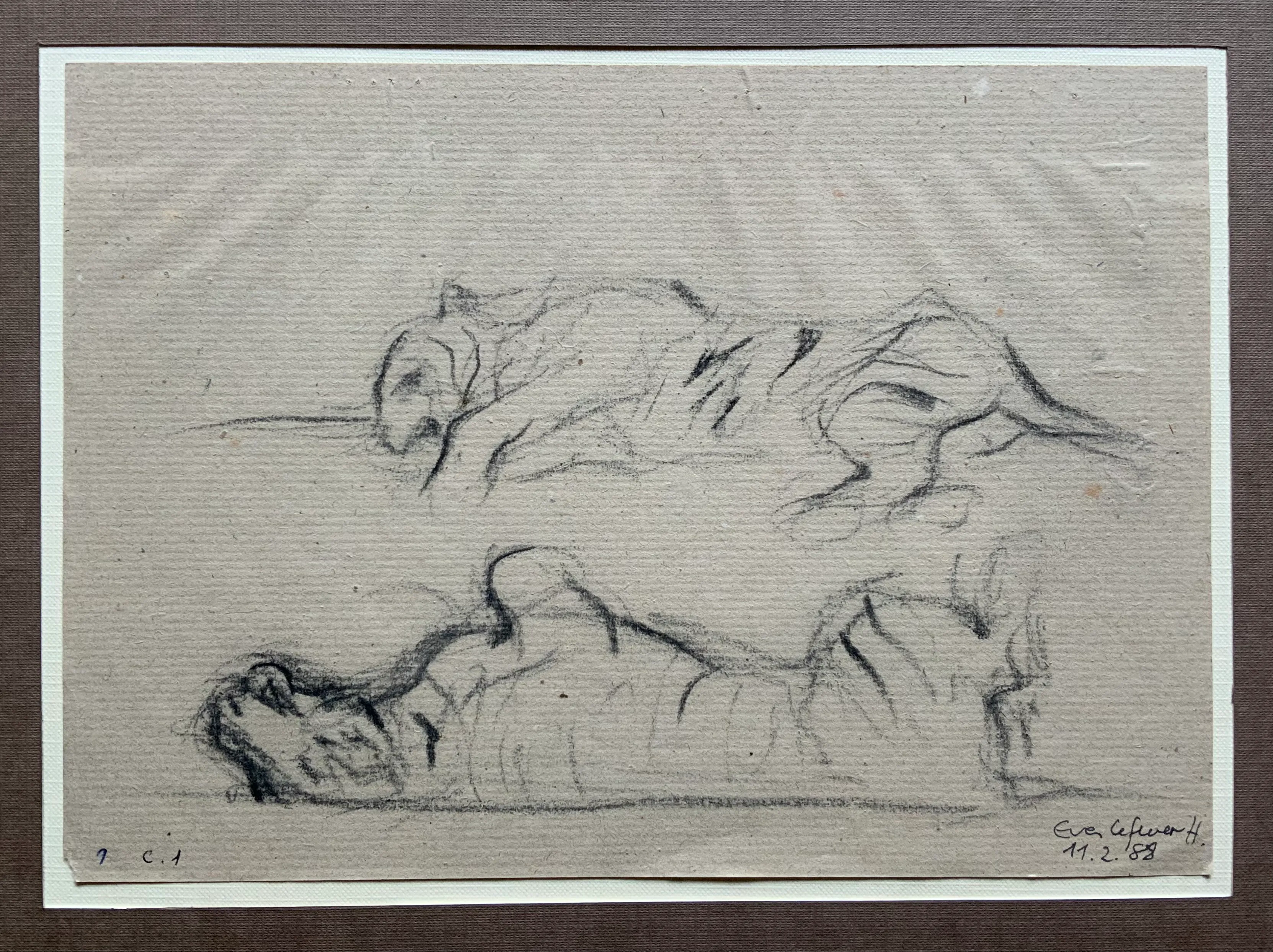 Obra "Tigres durmiendo I" de Eva Lefever