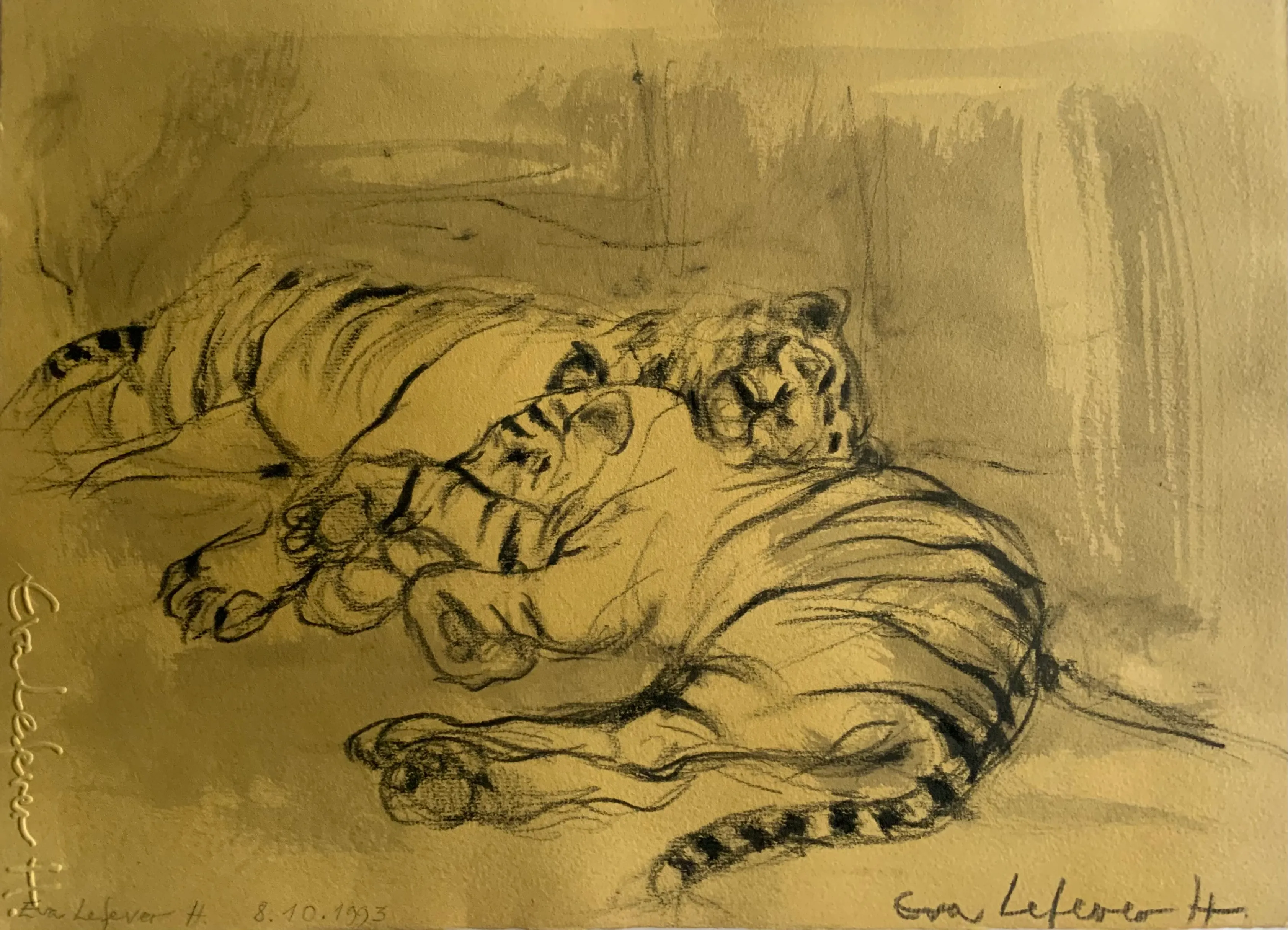 Obra "Tigres durmiendo II" de Eva Lefever