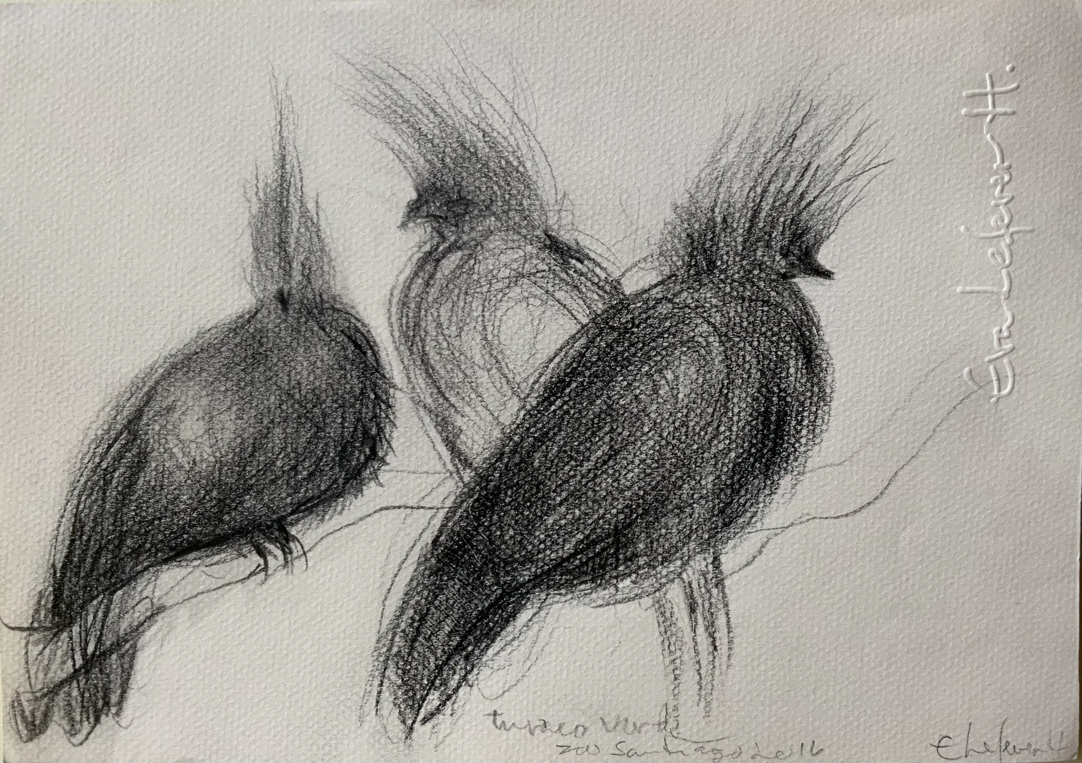 Obra "Turacos verdes" de Eva Lefever